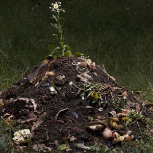 California Will Allow Human Composting After Death to Combat Climate Change