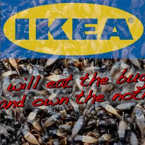 Flashback: Ikea Caught Pushing Bug Eating Over Four Years Ago