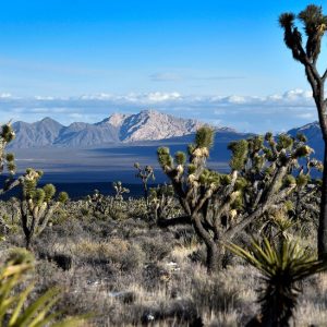 Biden Promises Protections for Nevada’s Spirit Mountain