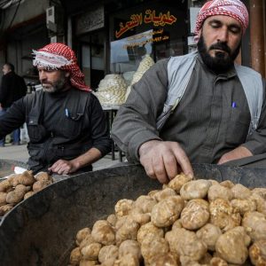 Truffle Hunting in Syria, Once a Beloved Pastime, Is Now a Danger